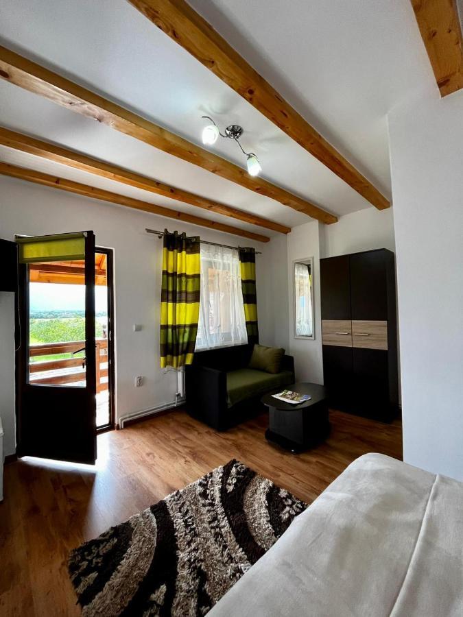 Vila Sofia Haţeg Buitenkant foto