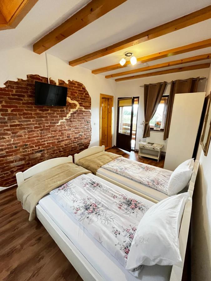 Vila Sofia Haţeg Buitenkant foto