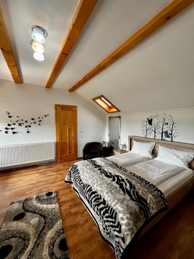 Vila Sofia Haţeg Buitenkant foto