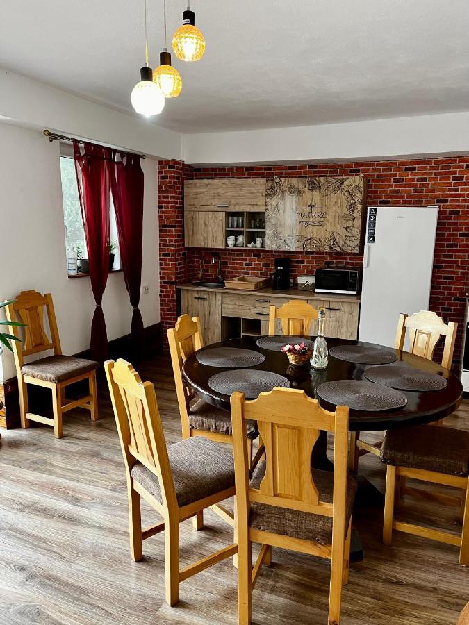 Vila Sofia Haţeg Buitenkant foto