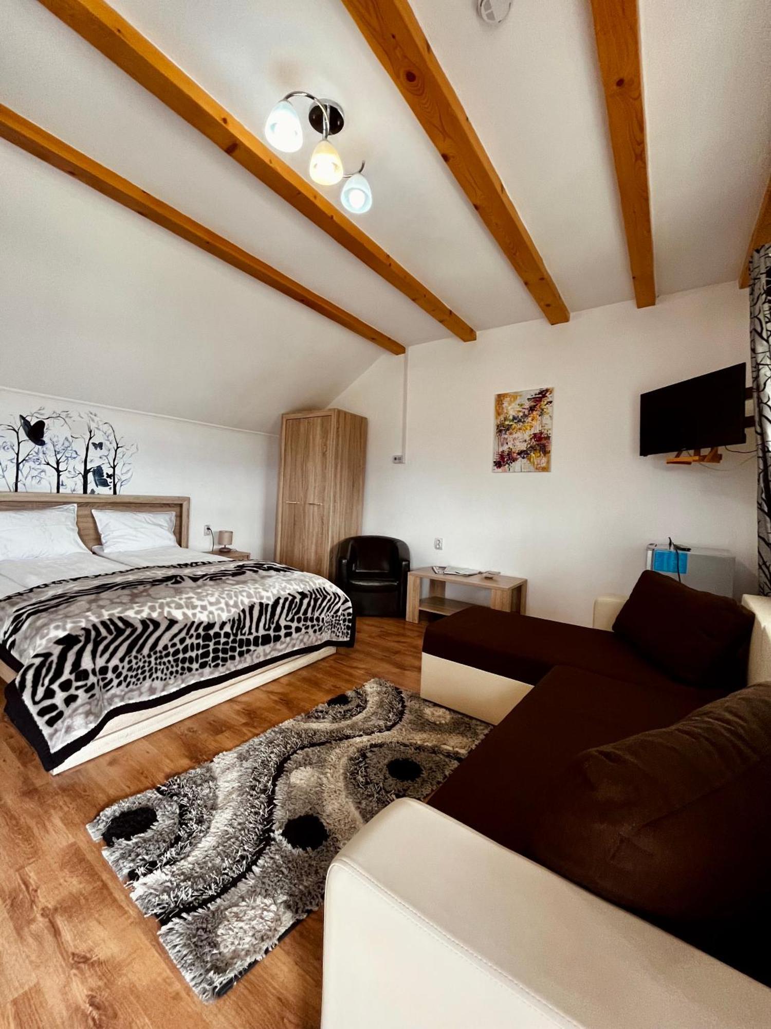 Vila Sofia Haţeg Buitenkant foto