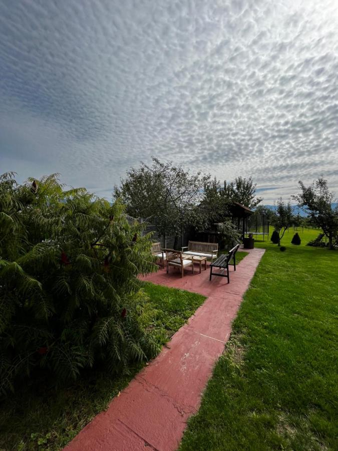 Vila Sofia Haţeg Buitenkant foto