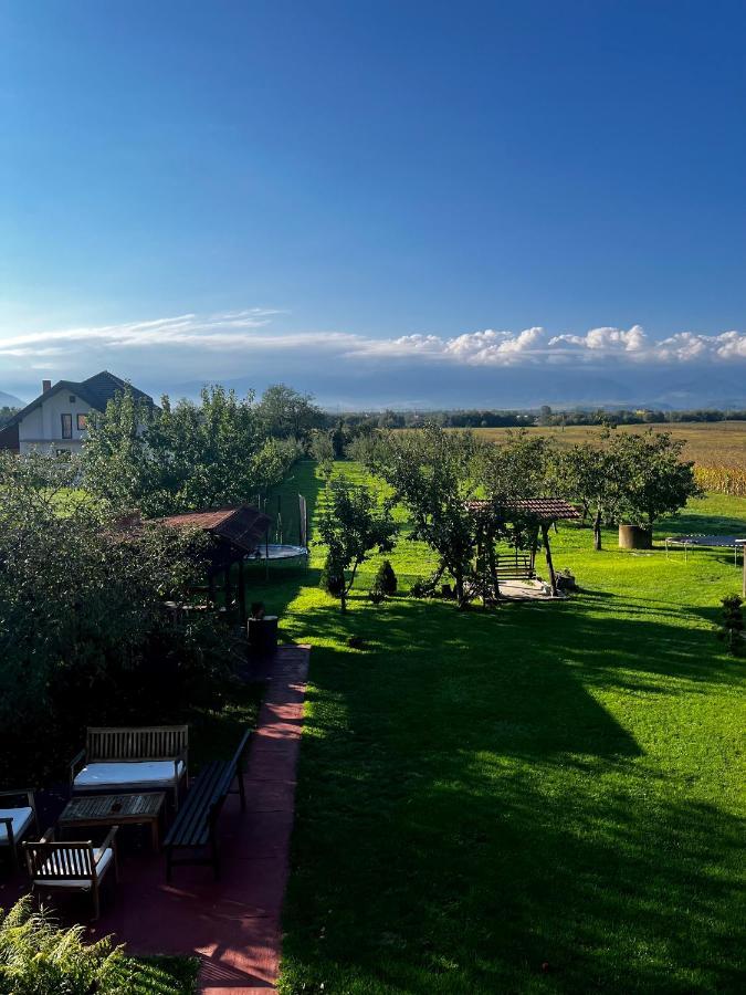 Vila Sofia Haţeg Buitenkant foto