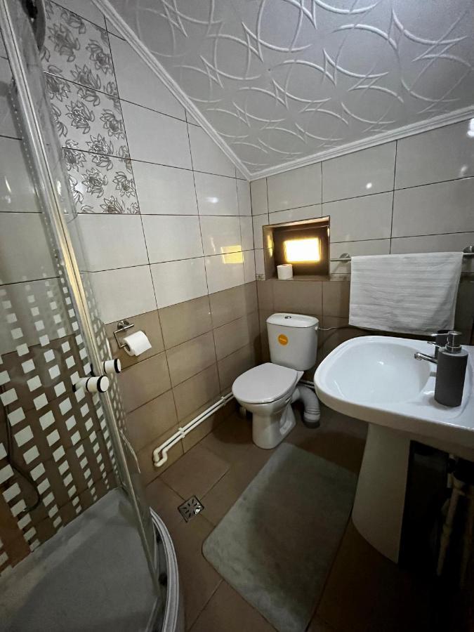 Vila Sofia Haţeg Buitenkant foto