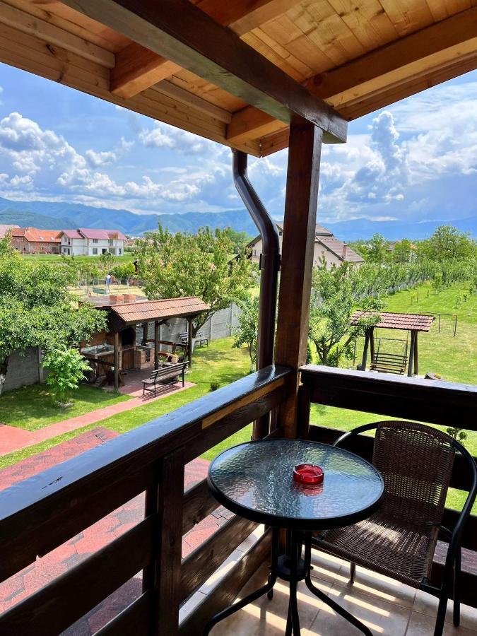 Vila Sofia Haţeg Buitenkant foto