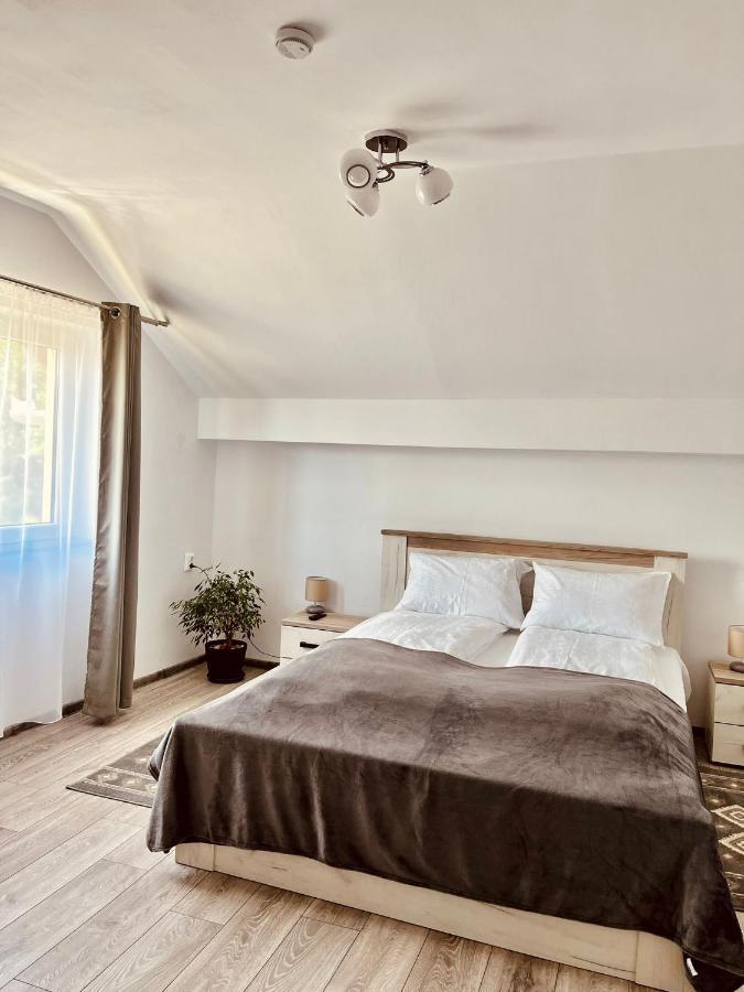 Vila Sofia Haţeg Buitenkant foto